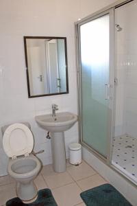 卢萨卡Fatmols Hotels的浴室配有卫生间、盥洗盆和淋浴。