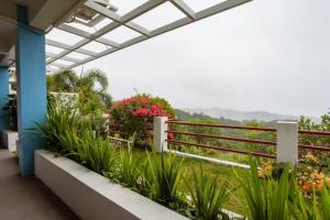 大雅台Casa Noah的从植物屋的阳台可以欣赏到风景