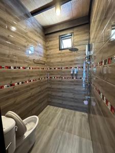 暖武里府The Nack Resort & Pool Villa บางบัวทอง的浴室配有淋浴和卫生间。