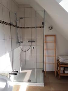 WittersheimFerienwohnungen "Zum Lochfeld"的浴室里设有玻璃门淋浴