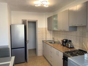 布拉索夫Victoriei Boulevard Private Apartment的厨房配有冰箱和水槽。