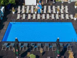 弗瓦迪斯瓦沃沃Maloves Resort & Spa的享有带躺椅的游泳池的顶部景致
