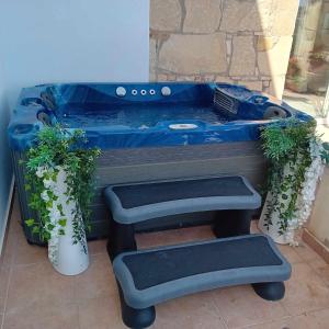 帕福斯Sunset Boutique Guest House的蓝色的浴缸,有两盆植物和长凳