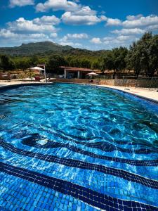 蒙坦切斯Hotel Resort Hípico El Hinojal的蓝色海水大型游泳池