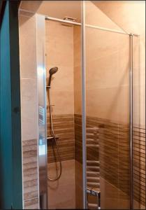 欧塞尔La maison des Consuls的带淋浴的浴室,带玻璃门