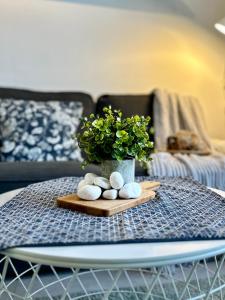 塞贝维甘华舒适套房公寓的一张桌子上放着盆栽植物和岩石