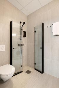 奥斯陆Maya Apartments - Parkveien的一间带玻璃淋浴和卫生间的浴室