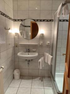 MosbachLandhaus Schneeberg的一间带水槽、镜子和淋浴的浴室