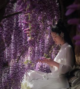 丽江吾爱堂的坐在紫色花墙上的女人