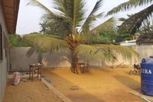 OuidahOuidah Lodge的土堆里的棕榈树,带桌子