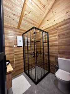 贾马里海姆森HiraBungalov的一间带卫生间和木制天花板的浴室