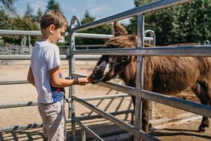 布兰斯科OREA Resort Panorama Moravský kras的一只小男孩把驴子拖过栅栏