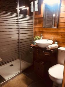 拉奥罗塔瓦Cozy Mountain Chalet的带淋浴、卫生间和盥洗盆的浴室