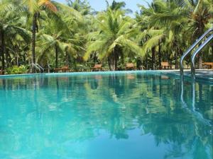 NochchiyagamaLavendish Wild Wilpattu的一座棕榈树环绕的大型游泳池