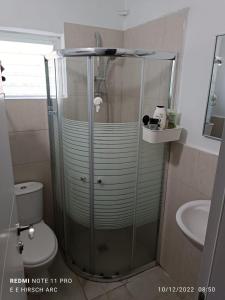 兹奇隆亚科夫my holiday apartment的带淋浴的浴室(带卫生间和水槽)