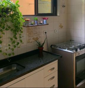 瓜鲁雅Alma de Maré Hostel的厨房配有水槽和植物台面