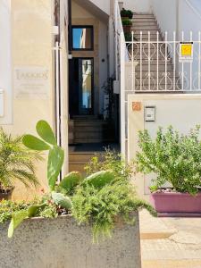锡拉库扎Lakkios charming suites and rooms的前方植物建筑的前门