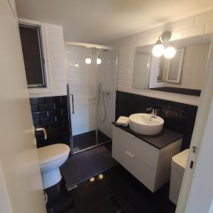 雅典CENTRAL ATHENS APARTMENT的浴室配有白色水槽和卫生间。