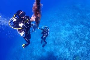 亚喀巴Bait Alaqaba dive center & resort的两个人在海洋里潜水