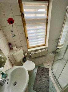 萨斯尼茨Ferienwohnungen Otto的浴室配有卫生间、盥洗盆和淋浴。
