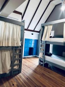 门多萨大猩猩旅舍的铺有木地板的客房内配有两张双层床。