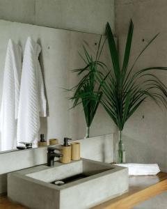 RecadoCasa Altanera的一个带水槽和植物的浴室