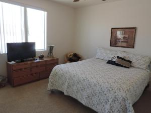 哈瓦苏湖城Alibi-Step to open desert的一间卧室配有一张床和一台平面电视