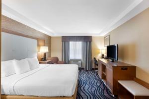 尼亚加拉瀑布峰会贝斯特韦斯特酒店的配有一张床和一台平面电视的酒店客房