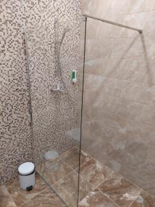 帕兰加Sweet villa Palanga的浴室设有玻璃淋浴间和卫生间