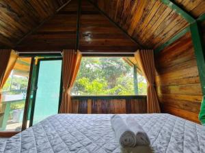 吉仙Ngọc Tiên Farmer Eco Lodge Cat Tiên的一张位于带大窗户的房间内的床铺