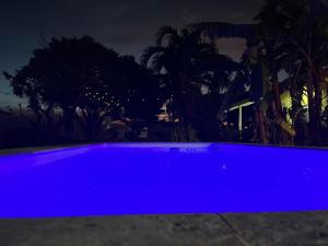 威廉斯塔德Bon Bini Kokolishi的夜晚的蓝色游泳池