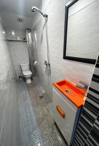贝尔加Apartamento céntrico económico en Berga P1的带淋浴、卫生间和盥洗盆的浴室
