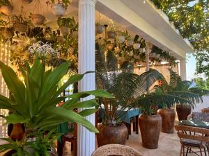 江比阿Gadea Boutique Hotel& Gadea Garden Italian Restaurant的充满植物和柱子的房间