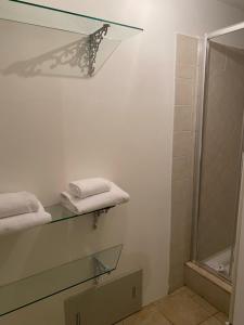 佛罗伦萨伯吉斯宫殿艺术酒店的浴室设有玻璃架、毛巾和淋浴