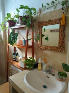 KansaloaySea Me的浴室水槽设有镜子和一些植物