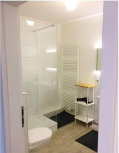 杜塞尔多夫Homefy Altstadt Apartment für 6 Personen, mit 2 Bädern und Balkon的白色的浴室设有卫生间和玻璃淋浴间。