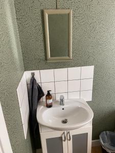 HemseElisabets Vandrarhem Hemse的浴室设有白色水槽和镜子
