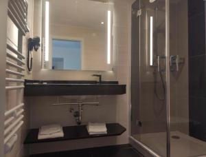 赖因斯贝格Schlosshotel Rheinsberg的带淋浴、盥洗盆和镜子的浴室