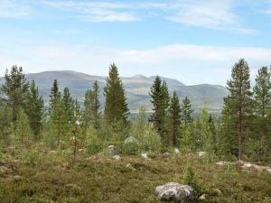洛夫斯达伦Chalet Lofsdalen Lavskrikan by Interhome的从树木茂密的山顶上欣赏美景