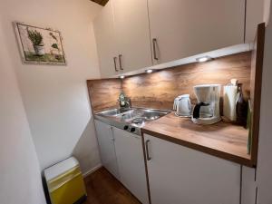 海利根布卢特Apartment Glockner-1 by Interhome的厨房配有水槽和台面