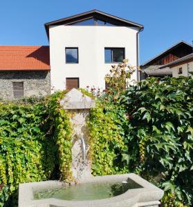 普拉托·阿罗·斯泰尔维奥Haus am Brunnen的一座花园,在一座建筑前设有一个喷泉