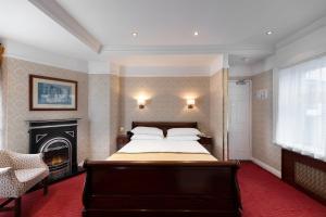 都柏林永利酒店的一间卧室设有一张大床和一个壁炉