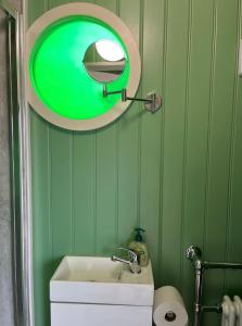 毕晓普奥克兰Ted's Shed的一间绿色浴室,在厕所上方设有镜子