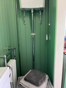 毕晓普奥克兰Ted's Shed的绿色浴室设有水槽和毛巾