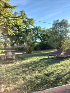Puygouzon-et-MontsalvyAu Grand Chêne Jolie T3 à 5 min d'Albi的草上有一个紫色长椅的公园