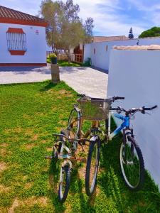 奇克拉纳－德拉弗龙特拉Chalet Mari Carmen的两辆自行车停在大楼旁边的草上