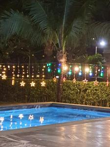 后川SEA VILLA HỒ TRÀM的游泳池晚上配有圣诞灯