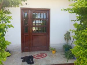 拉班达CASA RUBIA MORENO的一只黑狗躺在门前