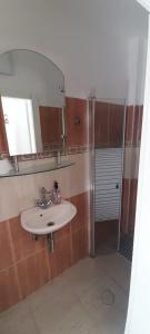 阿拉德arad rooms & apartments חדרי אירוח ערד的一间带水槽、镜子和淋浴的浴室