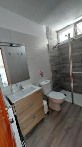 阿列塔CASA FABi GOLONDRINA HOUSE的一间带卫生间、水槽和镜子的浴室